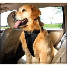 Show details of Kurgo Tru-fit Dog Harness, Large (50 to 80 Pounds).