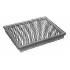 Show details of Motorcraft FA1695 Air Filter.