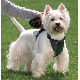 Show details of Kurgo Tru-fit Dog Harness, Medium (Dogs 25 to 50 Pounds).