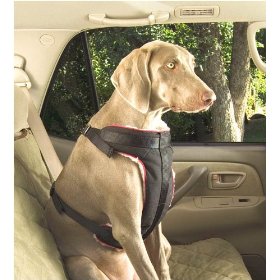 Show details of Solvit Extra-Large Pet Vehicle Safety Harness.