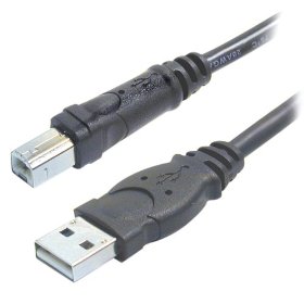 Show details of Belkin F3U133-10 Hi-Speed USB 2.0 Cable (10 Feet).