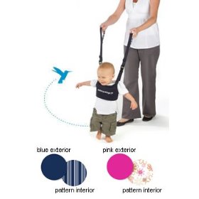 Show details of Walking Wings Learning to Walk Assistant.