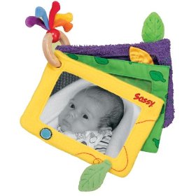 Show details of Sassy Earth Brights Wooden Baby's Loved Ones Toy.