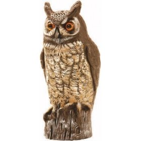 Show details of Dalen OW6 Gardeneer 16-Inch Molded Owl.