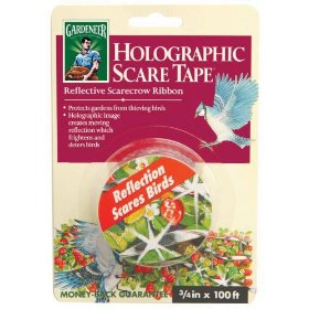 Show details of Dalen HST100 3/4-Inch by 100-Foot Holographic Bird Scare Tape.